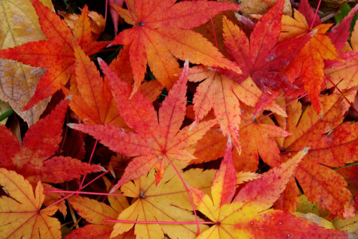 543211 (a): :2000x1333